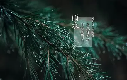 雨水前一天是绝日吗