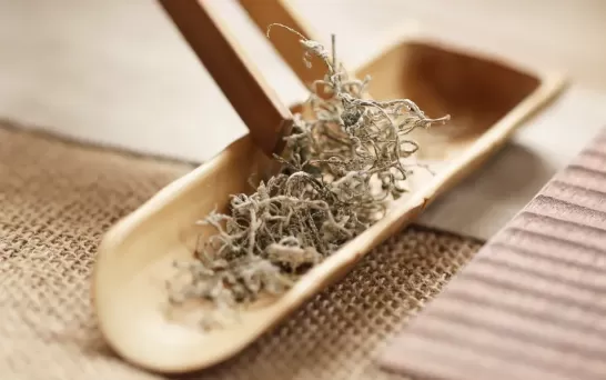 莓茶饭前喝还是饭后喝