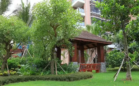 小区绿化带可以种花吗