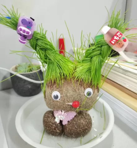 草头娃娃修剪成什么样好看