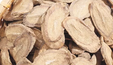 牛蒡茶价格多少钱一斤