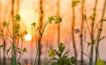 春分时节的气温能达多少度