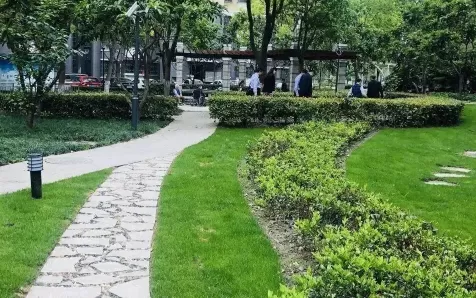 小区绿化带可以种花吗