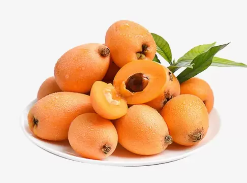 枇杷是生吃止咳还是炖的止咳