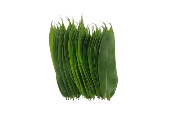 粽叶大的好还是小的好