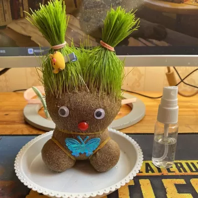 草头娃娃修剪成什么样好看