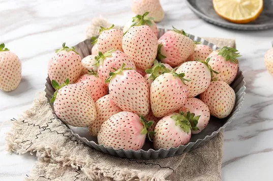 白色草莓和红色草莓哪个贵