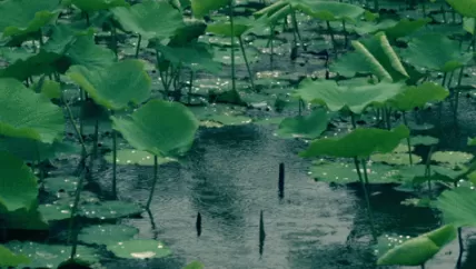 舟山梅雨季节是什么时间2022
