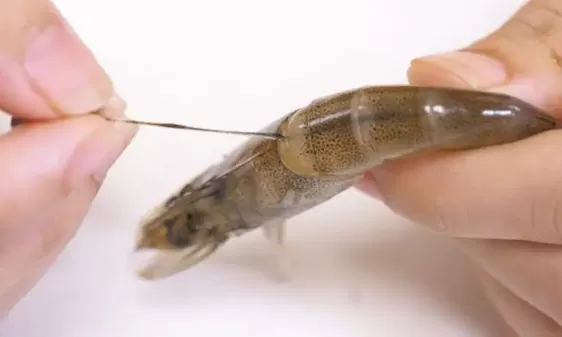 虾怎么剥壳去虾线