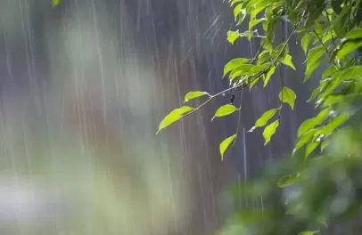 2022年雨水节气降雨多吗3