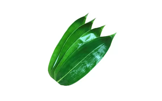 粽叶是薄的好还是厚一点的比较好