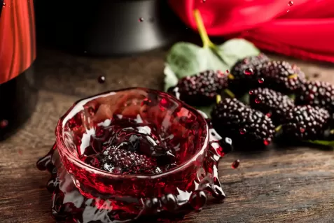 桑葚酒一次喝多少为宜