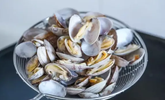 花蛤放自来水里能活12小时吗