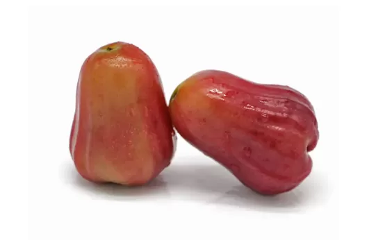 莲雾和枇杷哪种治咳嗽