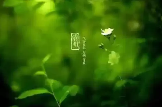 清明节先上外公坟还是爷爷坟