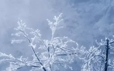 2022年大寒是一天还是几天3