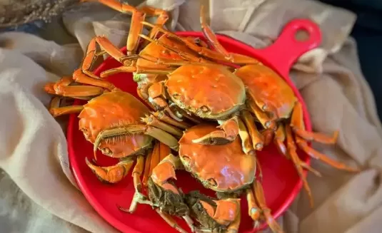 蒸河蟹几分钟能蒸熟出锅