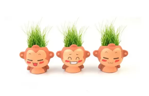 草头娃娃需要全身浸泡吗