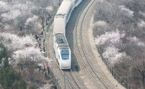 北京冬奥会期间S2线几点发车