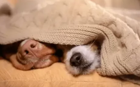 每天睡太久对皮肤好嘛