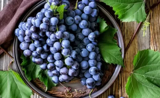 葡萄表面白霜多是新鲜还是不新鲜