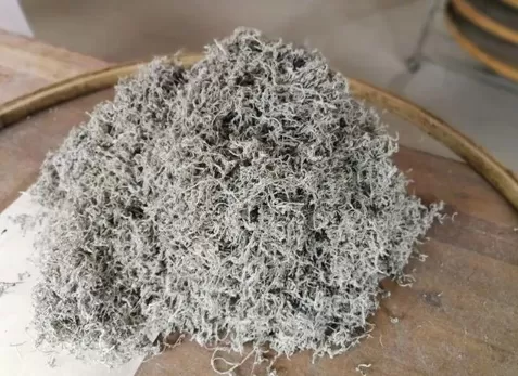 莓茶和藤茶是一种茶吗