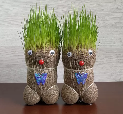 草头娃娃需要全身浸泡吗