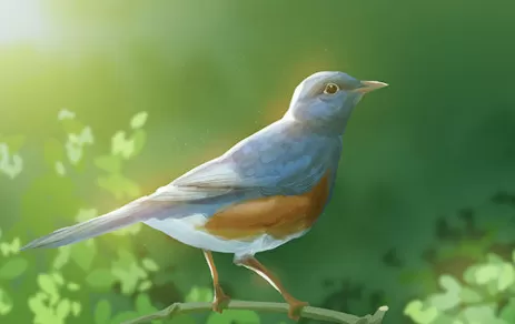 春分时节的气温能达多少度