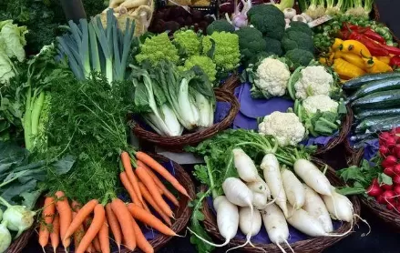 ​春天阳台上种植番茄成活率高吗