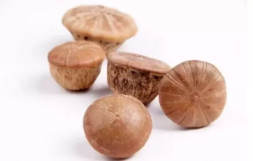 壮阳果是吃壳还是果肉