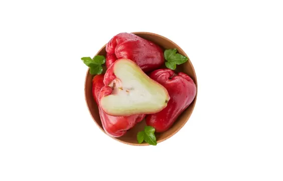 莲雾和山竹是什么关系