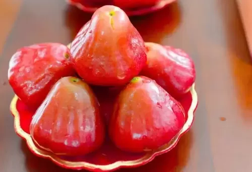 莲雾和无花果一样吗