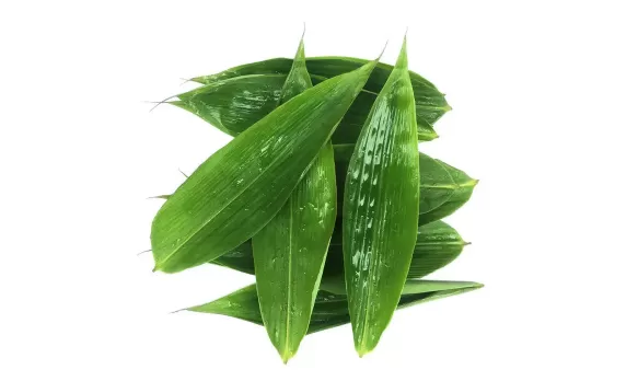 粽叶多长多宽合适