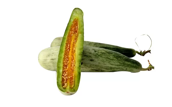 羊角蜜嫩的好吃还是老的好吃