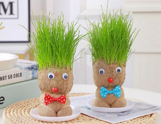 草头娃娃要泡几个小时