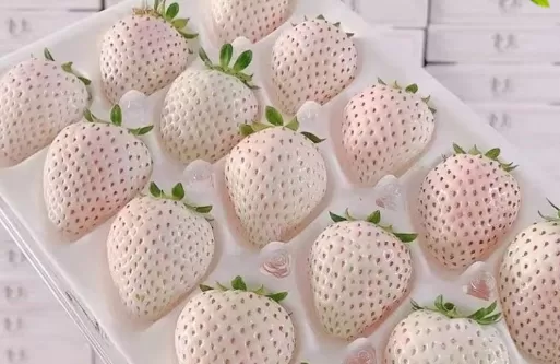 白色草莓好吃还是红色草莓好吃