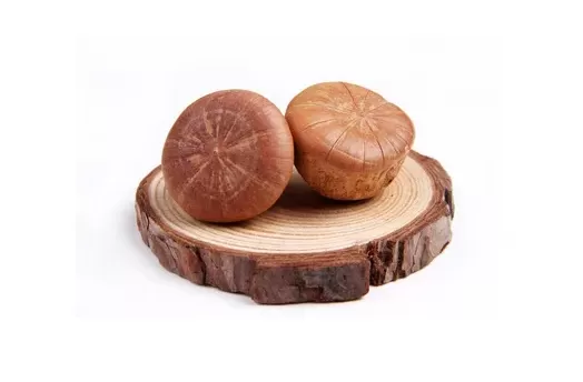 壮阳果是吃壳还是果肉