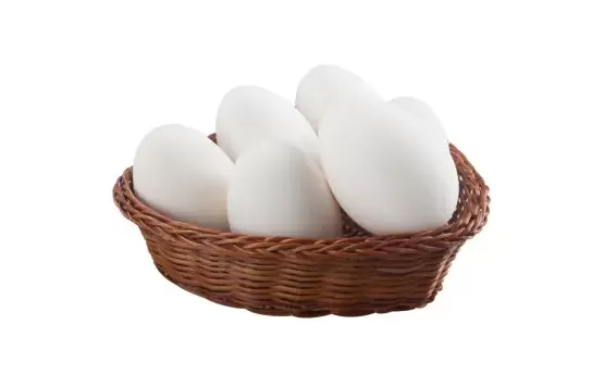 鹅蛋不适合什么人吃1