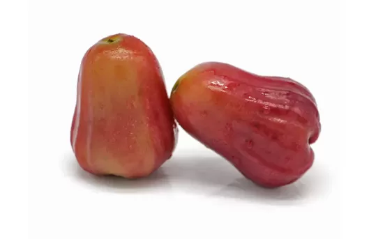 莲雾为什么会开裂