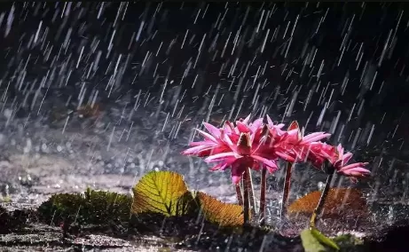 杭州有梅雨天气吗