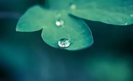 雨水前一天是绝日吗