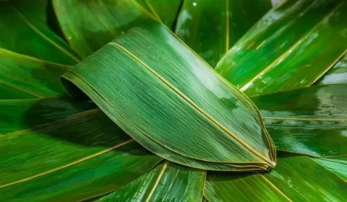 粽叶是先洗后煮还是先煮后洗