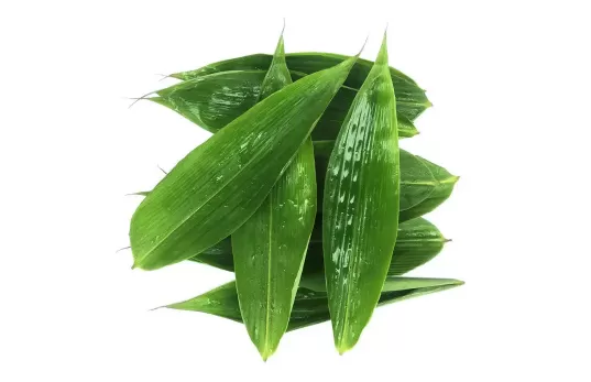 粽叶粗糙的那一边是外面还是里面