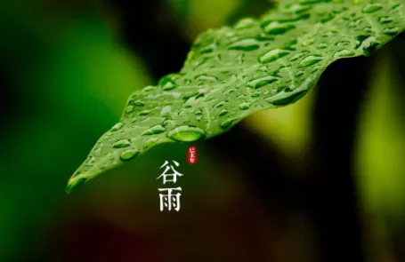 谷雨节气会有春雷吗