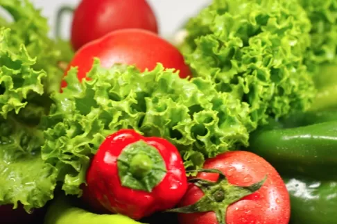 ​春天阳台上种植番茄成活率高吗