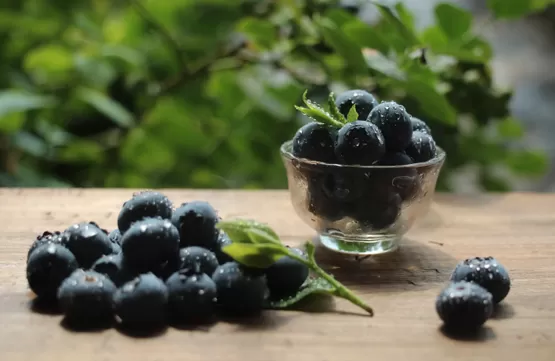 一天吃125克蓝莓可以吗