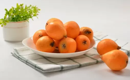 枇杷和什么一起煮止咳效果好