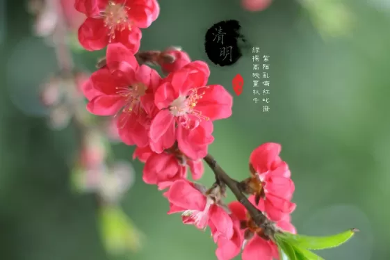 清明节小孩晚上能出门吗