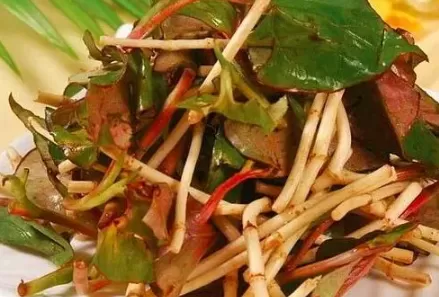 折耳根焯水好还是不焯水好