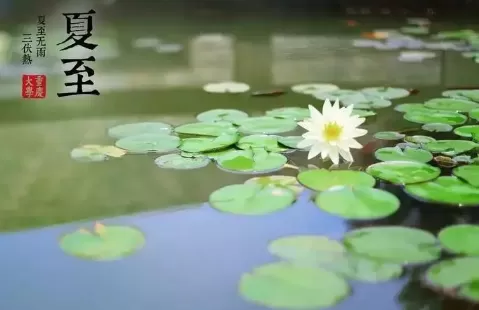 夏至是一年中白天最长的一天吗2022